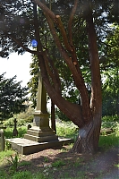 DS1_4824.JPG