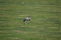 Filename=DS1_5234.JPG
Filesize=14828KiB
Dimensions=6000x4000
Date added=%883 %20, %2026 DS1_5234.JPG