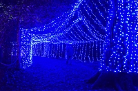 DS1_5114.JPG