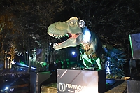 DS1_5159.JPG